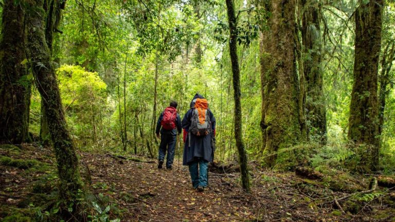 Por séptima vez: Chile gana premio a Mejor Destino de Turismo Aventura de los World Travel Awards 2025