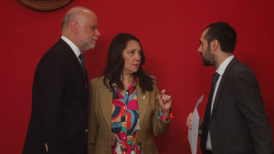 “El último gran error del Gobierno”: Ley de amarre pierde respaldo en el oficialismo en medio de ofensiva de la oposición