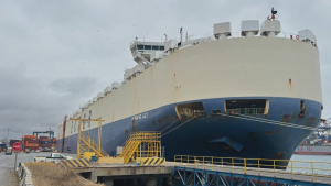 Puerto San Antonio recibe la mayor descarga de vehículos en la historia de Chile