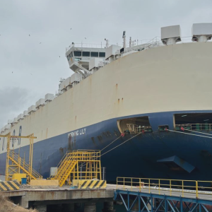 Puerto San Antonio recibe la mayor descarga de vehículos en la historia de Chile