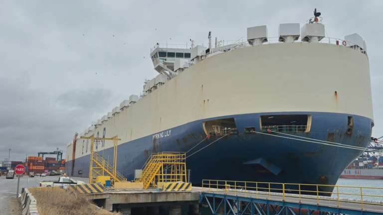 Puerto San Antonio recibe la mayor descarga de vehículos en la historia de Chile