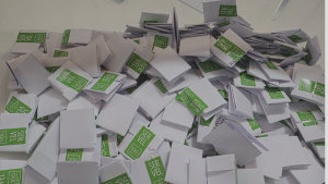 Gran afluencia de público y sin mayores incidentes: así fue la tranquila jornada de votación en segunda vuelta