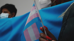 Minsal y Movilh se enfrentan por acceso a menores de 14 años a programa de acompañamiento a niños trans