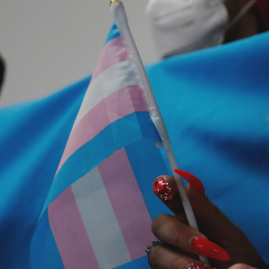 Minsal y Movilh se enfrentan por acceso a menores de 14 años a programa de acompañamiento a niños trans