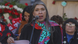 Chile Vamos apunta al PC por 