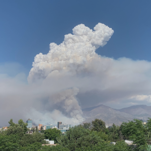 Enorme nube de humo en Las Condes: incendio en San Carlos de Apoquindo moviliza a 14 compañías de Bomberos