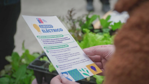 Beneficiados se conocerán en febrero: cuarto proceso de subsidio eléctrico cierra con más de 84 mil postulaciones