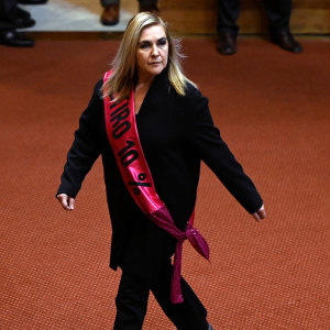 La estrategia del PDG para instalar a Pamela Jiles en la Presidencia de la Cámara 