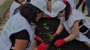Una ruta de crecimiento con sentido
