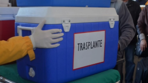 La cadena de errores que provocó fallido traslado de órgano a Santiago y dejó sin trasplante a niña de dos años