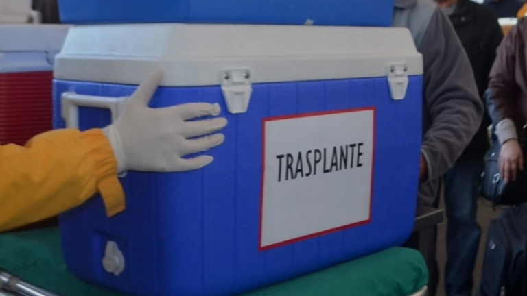 La cadena de errores que provocó fallido traslado de órgano a Santiago y dejó sin trasplante a niña de dos años