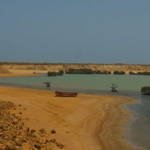 Ni cocaína ni fentanilo: lo que The New York Times encontró en la costa colombiana tras los ataques de Trump a narco-lanchas en el Caribe