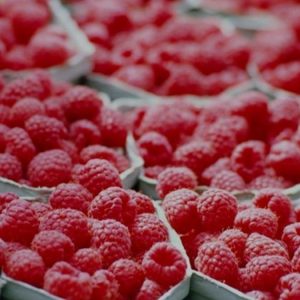 Gobierno celebra por cerezas y berries: exportaciones acumulan 15 meses de aumento sostenido