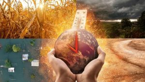 Cambio climático, salud y seguridad en el trabajo: una crisis que no podemos ignorar