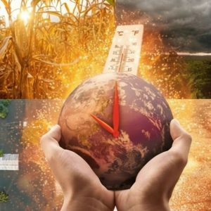 Cambio climático, salud y seguridad en el trabajo: una crisis que no podemos ignorar
