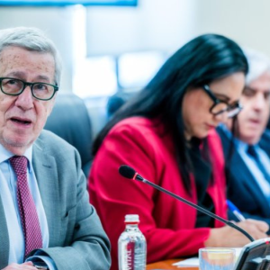 Patrullajes conjuntos, intercambio de información y apertura de pasos: los acuerdos de Chile y Perú en comité binacional