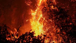 MAPA - Cuál es el sector afectado por el incendio forestal en Valparaíso que obligó a decretar Alerta Roja