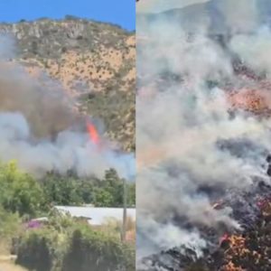 El origen del incendio forestal en Pichidegua: 