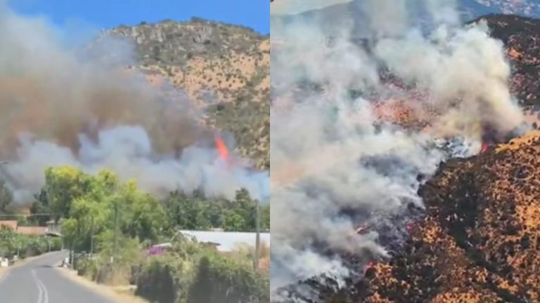 El origen del incendio forestal en Pichidegua: 