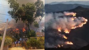 Dos alertas rojas, personas evacuadas y 9 siniestros en combate: el balance de los incendios forestales y el foco en Pichidegua y Maule