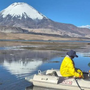 Lago Chungará podría demorar 50 años en recuperarse por derrame de aceite de soya