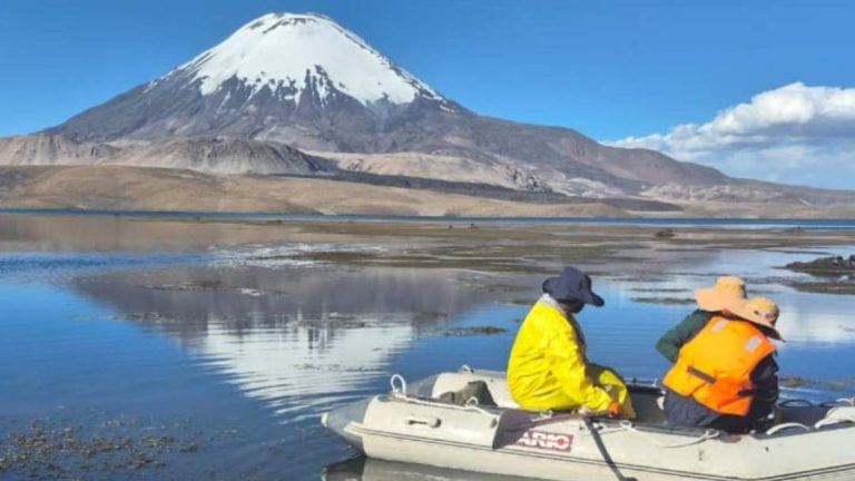 Lago Chungará podría demorar 50 años en recuperarse por derrame de aceite de soya
