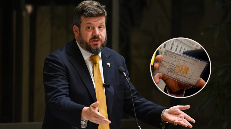 Los detalles del proyecto de Libertarios que busca eliminar la renovación de licencia de conducir hasta los 65 años