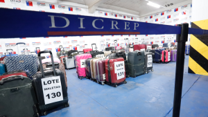 Maletas olvidadas en el aeropuerto, caballos del Ejército y más: así puedes inscribirte al remate online de la Tía Rica