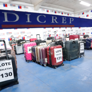 Maletas olvidadas en el aeropuerto, caballos del Ejército y más: así puedes inscribirte al remate online de la Tía Rica