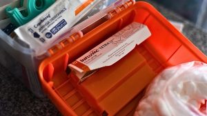 Subclado K: la variante de la influenza A(H3N2) que el Minsal detectó en Chile