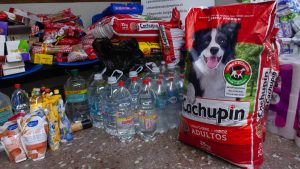 Confianza, cercanía y transparencia en redes: las razones detrás del apoyo a campañas de influencers