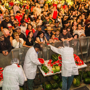 Expo Paine Rural 2026: lo que debes saber sobre la fiesta que mezcla tradición, música y gastronomía