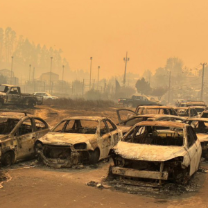 Las críticas y la defensa del Gobierno por reacción ante incendios forestales: 