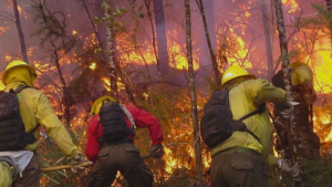 Cómo revisar en tiempo real dónde se están registrando incendios forestales en el país