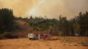 El balance de Conaf ante aumento de incendios forestales: doce en combate y tres controlados