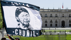 Los motivos por los que el ex yerno de Julia Chuñil quedó en libertad