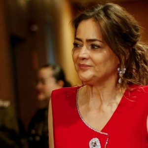 Fiscal Parra aseguró que Luis Hermosilla la 