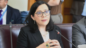 Consejo Fiscal Autónomo reitera ante el Senado los riesgos fiscales del FES: producirá déficit de $358.500 millones