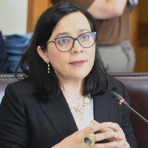 Consejo Fiscal Autónomo reitera ante el Senado los riesgos fiscales del FES: producirá déficit de $358.500 millones