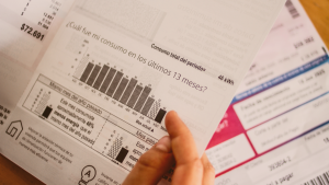 Enel aún no puede devolver sobreconsumos en cuentas de la luz a clientes: culpó a La Moneda