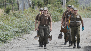 ¿Y Cholito? Fiscalía aclara misterio sobre la mascota de Julia Chuñil