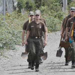 ¿Y Cholito? Fiscalía aclara misterio sobre la mascota de Julia Chuñil
