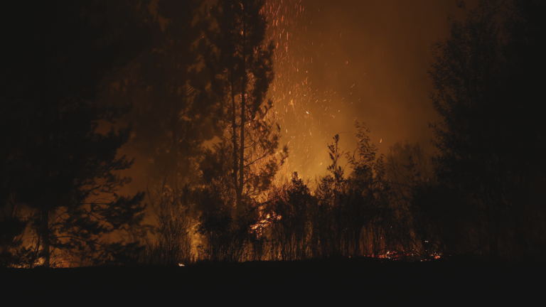 Gobernador de La Araucanía aseguró que hay 