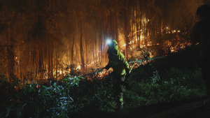 PDI detiene a presunto responsable de uno de los incendios forestales en el Biobío