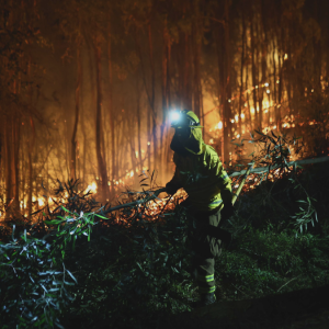 PDI detiene a presunto responsable de uno de los incendios forestales que dejó más de 20 muertos