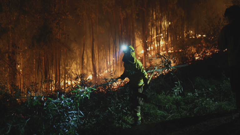 PDI detiene a presunto responsable de uno de los incendios forestales que dejó más de 20 muertos