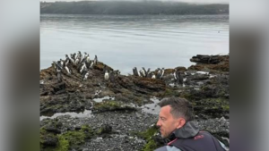 VIDEO - Los turistas rusos, otra vez: ahora invadieron zona de pingüinos magallánicos en Chiloé