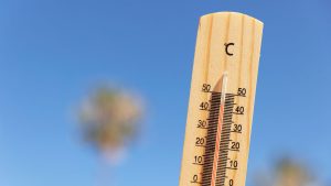 Accidentes laborales aumentan en un 19% en días de calor extremo en Chile