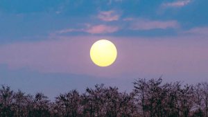 Cuándo ver la primera superluna del 2026 y la lluvias de estrellas de enero