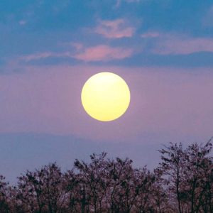 Cuándo ver la primera superluna del 2026 y la lluvias de estrellas de enero